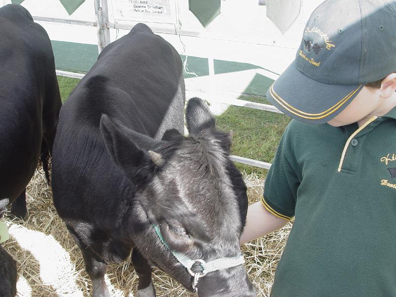beef-week 025.jpg